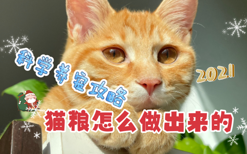 【科普】猫粮是怎么做出来的哔哩哔哩bilibili