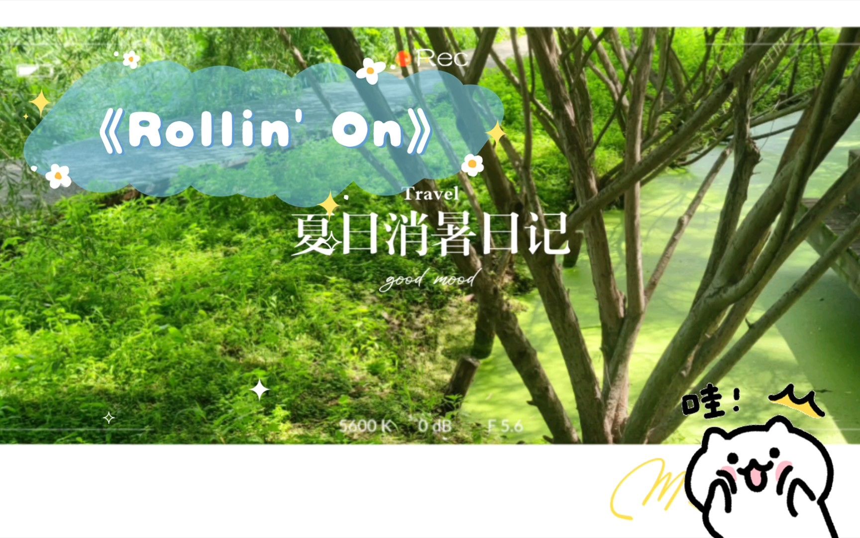 [图]《Rollin' On》