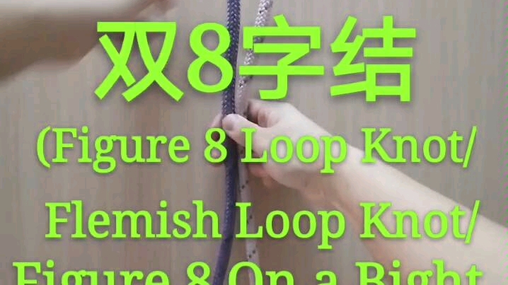 [图]双8字结( Figure 8 Loop Knot / Flemish Loop Knot / Figure 8 on a Bight Knot )