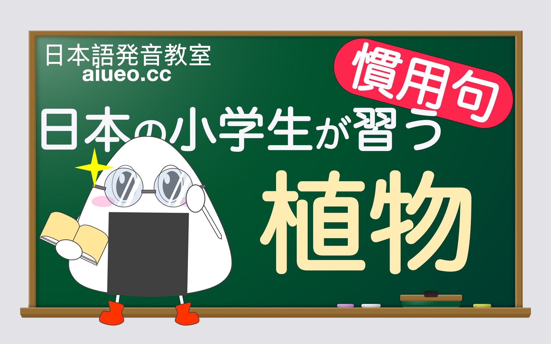 【日语惯用句】【植物】日本小学生必学的日常用语解说及例句朗读练习(日语自学教程)JLPT哔哩哔哩bilibili