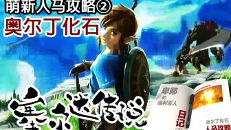 Botw 塞尔达 荒野之息鲸鱼大化石任务攻略 哔哩哔哩 Bilibili