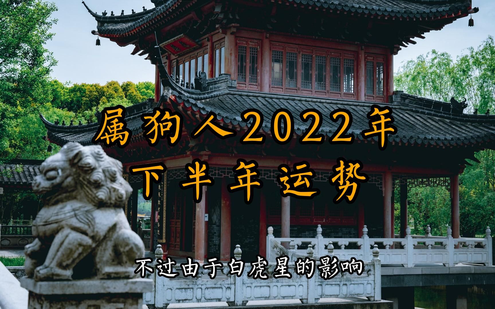 属狗人2022下半年运势哔哩哔哩bilibili