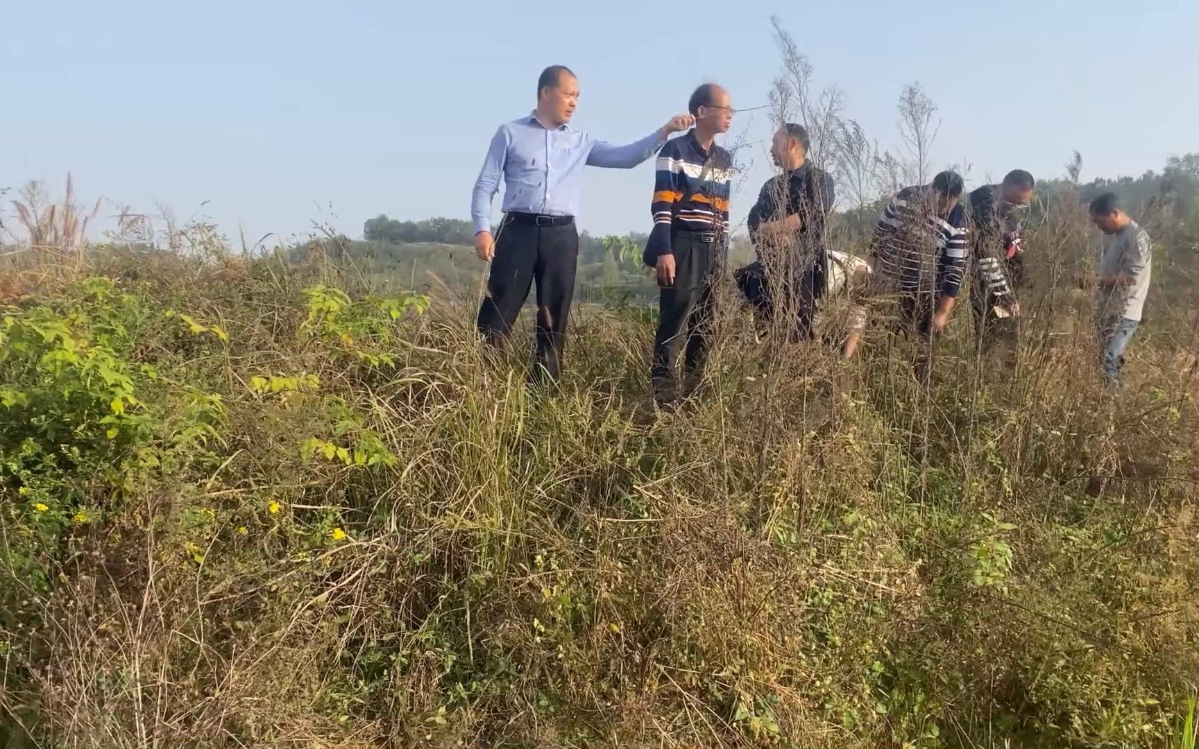 [图]王君植风水大师河南视频，一门九进士，军机大臣周祖培祖坟风水确实好