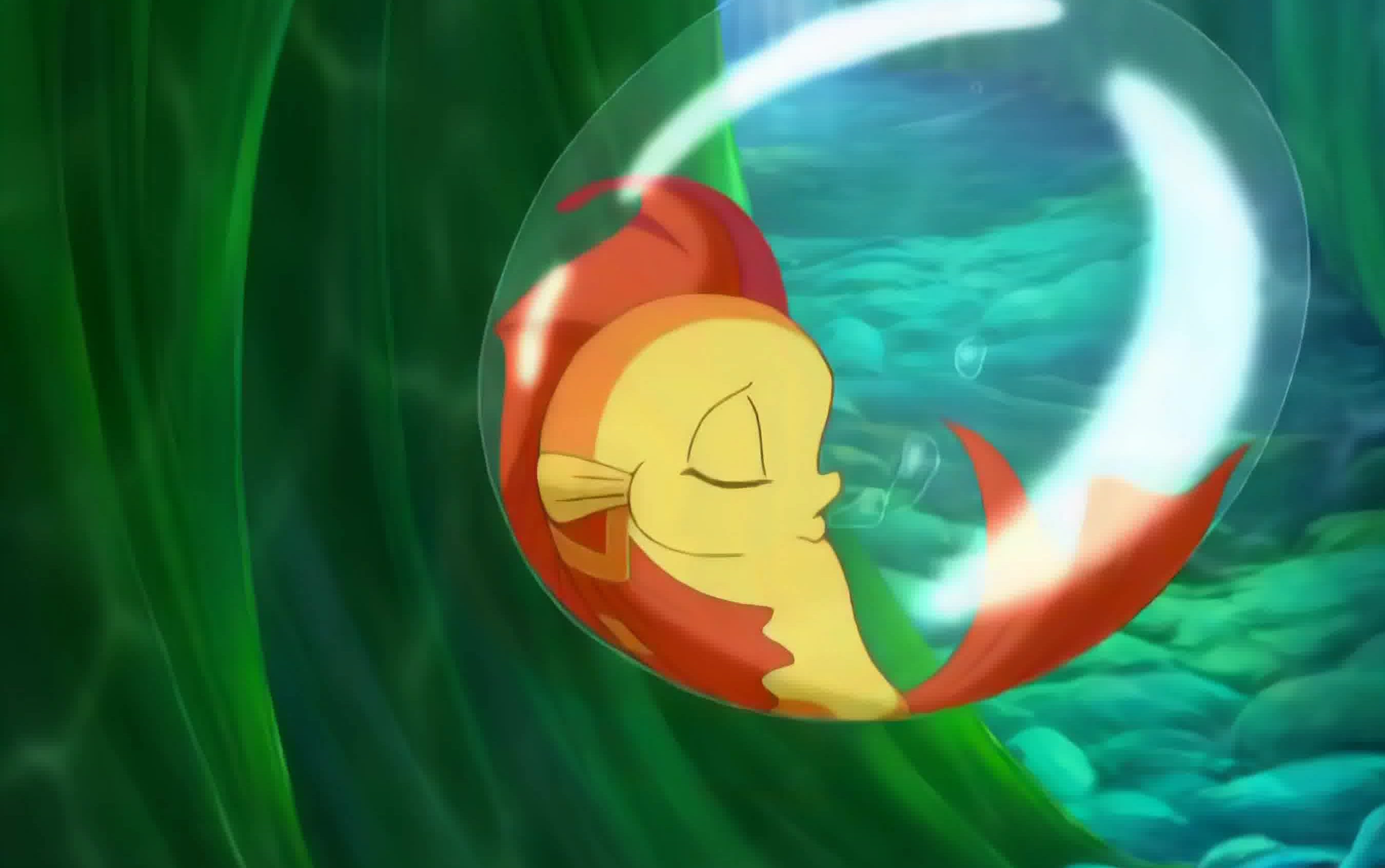 [4k50fps]小鲤鱼历险记 oped