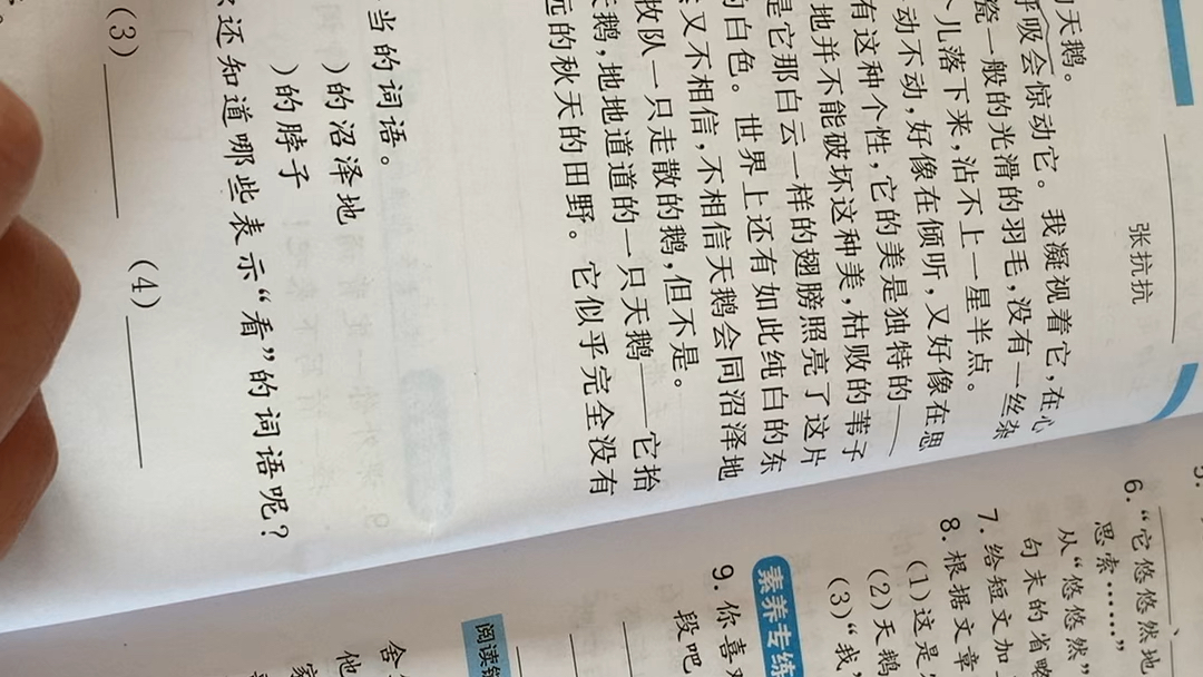 [图]小学生阅读阶梯训练