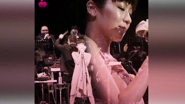 椎名林檎】 2007 第一回林檎班大会の模様_哔哩哔哩_bilibili