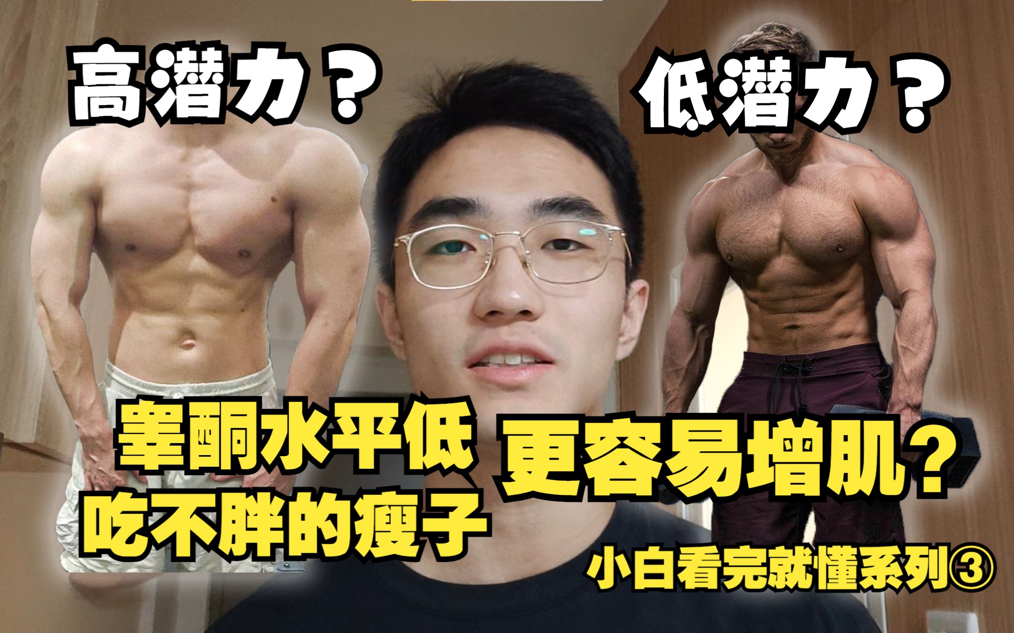 【纯小白课堂】增肌潜力怎么看?内胚,中胚,外胚是什么?睾酮水平影响增肌吗?哔哩哔哩bilibili