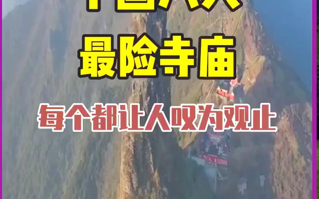 山东云蚁旅游:与众不同的旅行伙伴哔哩哔哩bilibili