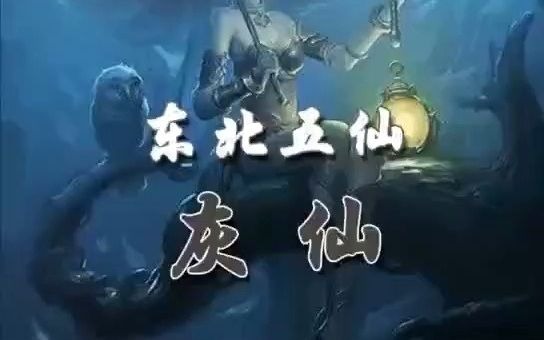 东北五仙,灰仙!哔哩哔哩bilibili