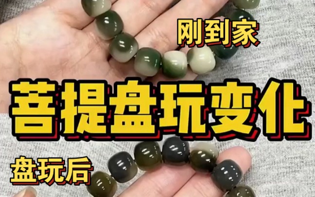 菩提盘玩的过程进来看看,你可以坚持下来嘛?(送盘玩袋+盘玩手套)哔哩哔哩bilibili