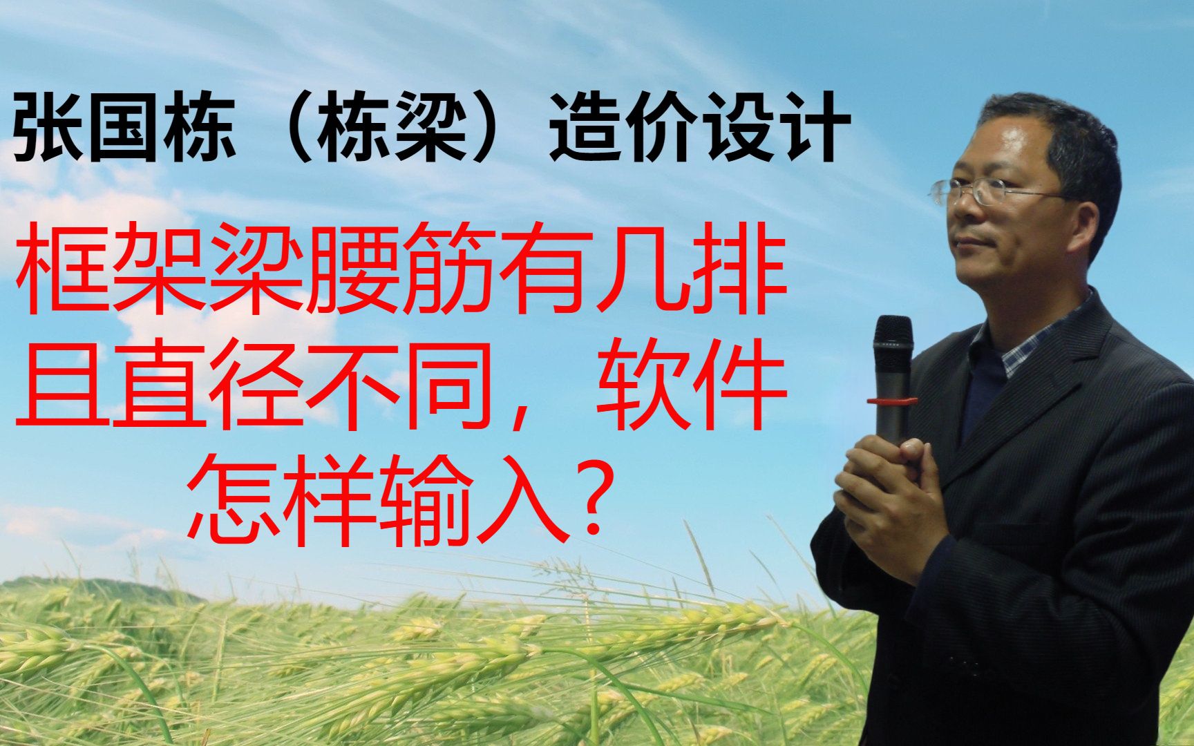 张国栋(栋梁)造价设计:框架梁腰筋有几排且直径不同,软件怎样输入哔哩哔哩bilibili