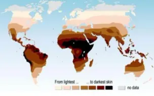 Download Video: 世界人类肤色分布图/金发蓝眼分布图