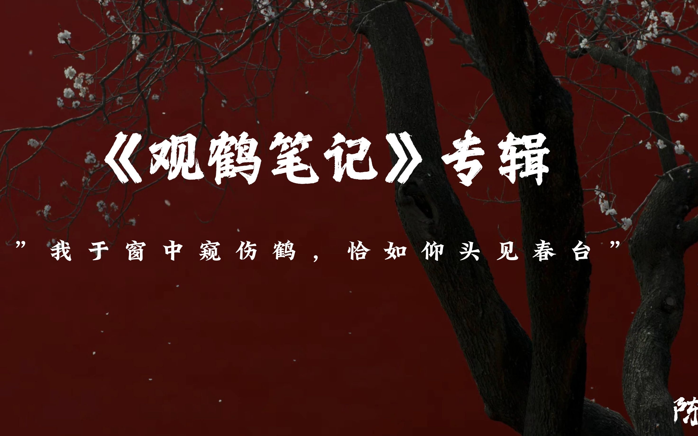 [图]"我于窗中窥伤鹤，恰如仰头见春台"丨《观鹤笔记》专辑丨她与灯