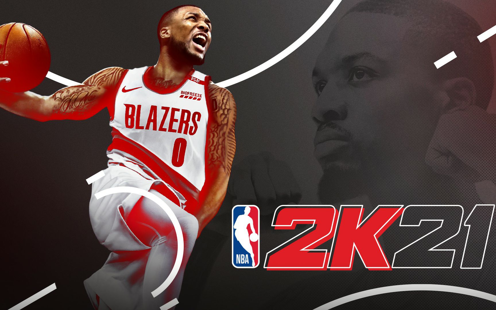 鸽子王飞回来了!