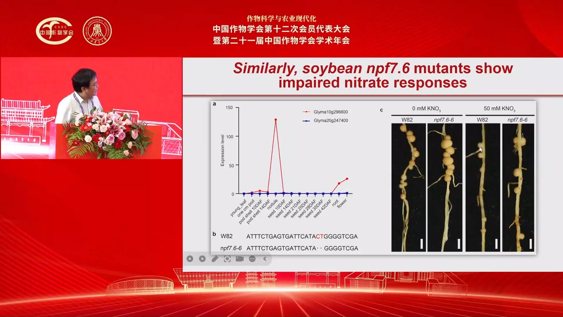 孔照胜:环境氮素感知与高效共生固氮的分子设计哔哩哔哩bilibili