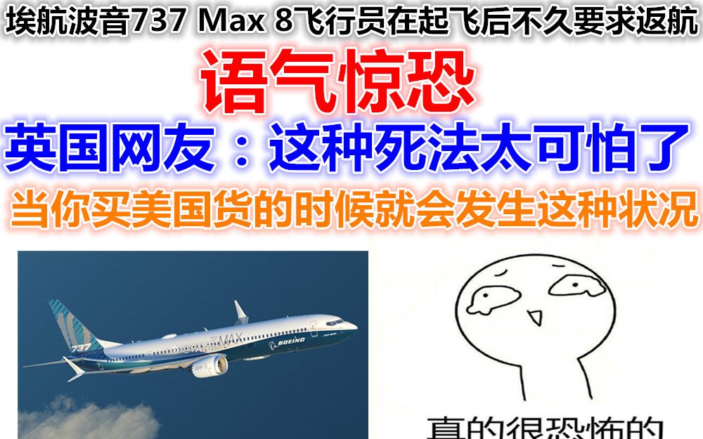 埃航波音737Max8飞行员在起飞后不久要求返航,英国网友:这种死法太可怕了哔哩哔哩bilibili