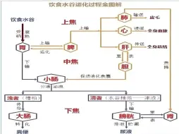 Download Video: 第117讲：【黄帝内经】 水谷精微在人体的循环输布