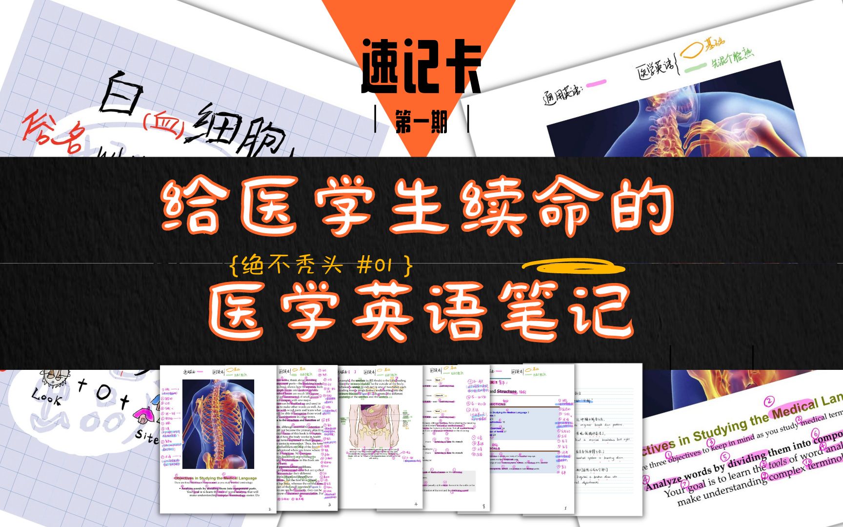 医学英语速记|The Language of Medicine 12版第一章P1P8笔记哔哩哔哩bilibili