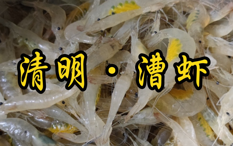 清明时节吃漕虾