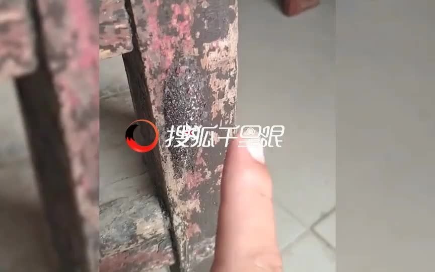 椅子鼓包一摸就叫,7天后飞出物体男子傻眼,专家的揭秘大开眼界哔哩哔哩bilibili