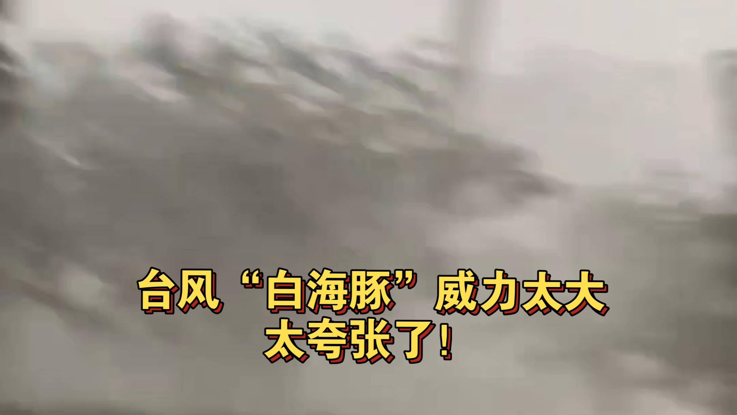 台风“白海豚”威力太大，太夸张了！