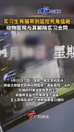 下载视频: #动物医院实习生将猫带到监控死角猛砸 院方与其解除实习合同