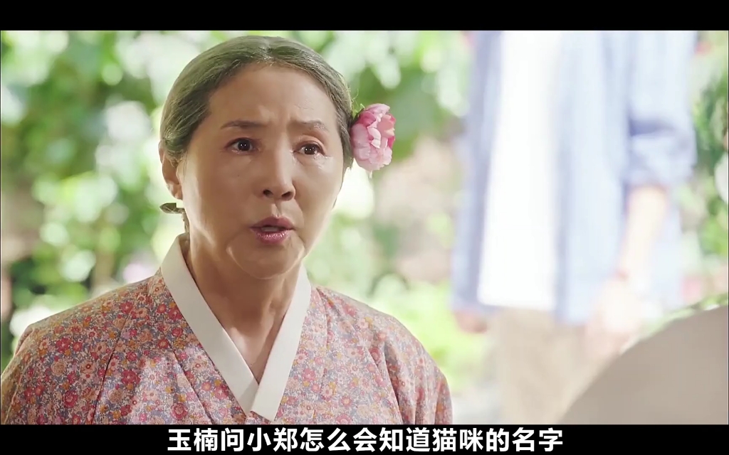 眼里她就是个老奶奶 只有心爱之人才能看到她原本的相貌 #鸡龙仙女传