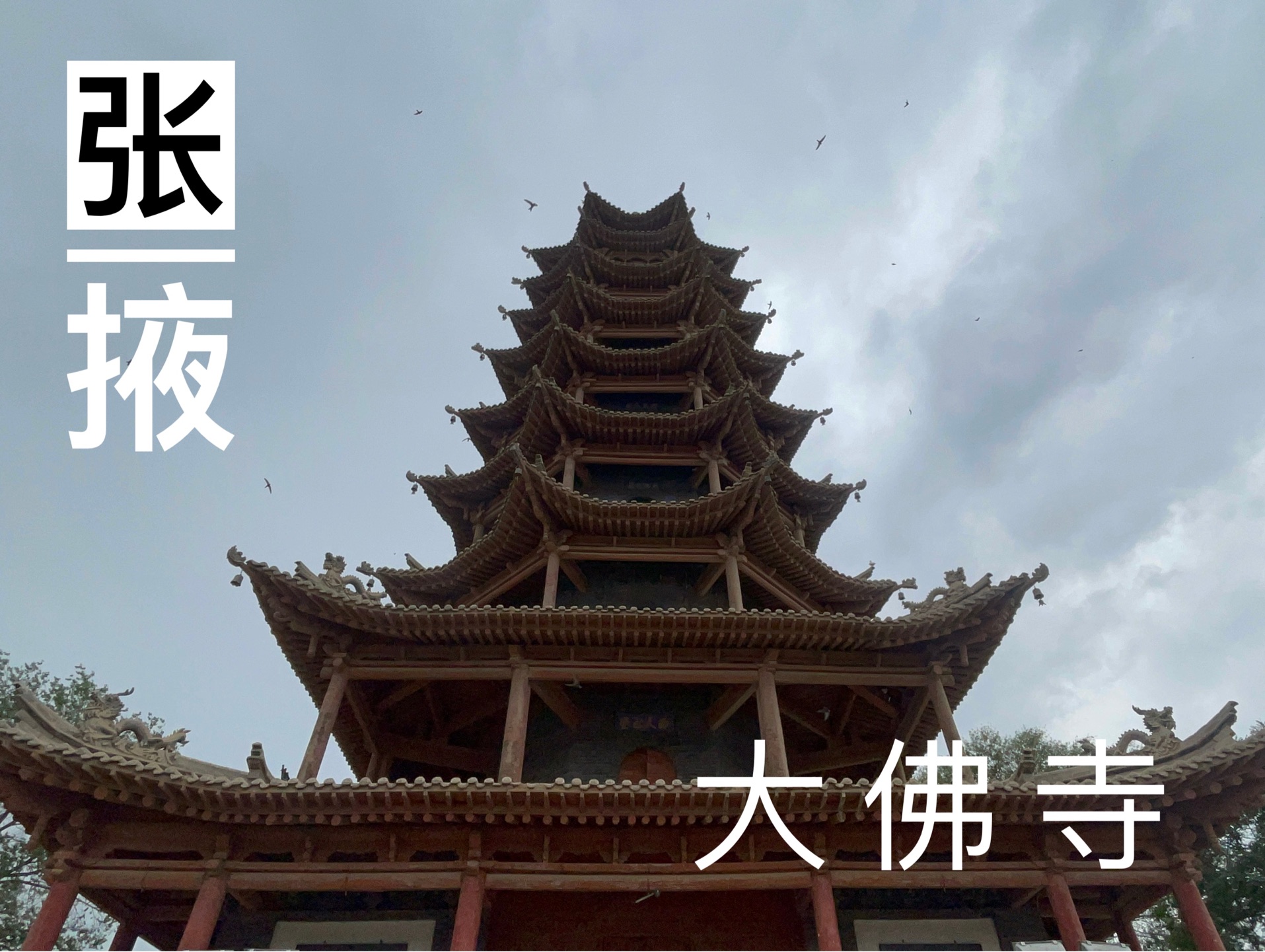 【张掖】在市区内的大佛寺,张掖市博物馆和木塔寺