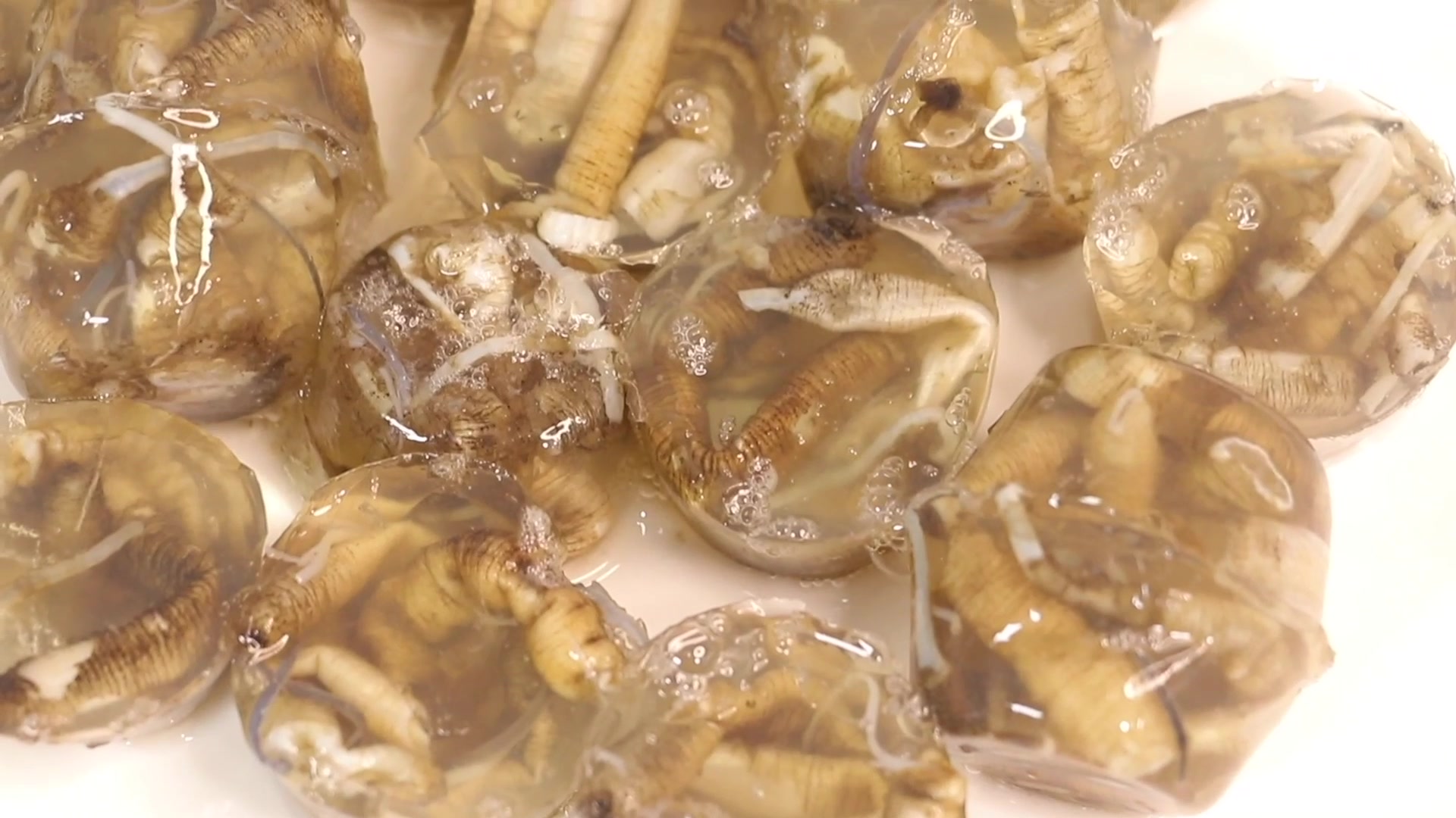 福建特产土笋冻就是在吃虫子呀感觉太不好了有喜欢吃的吗