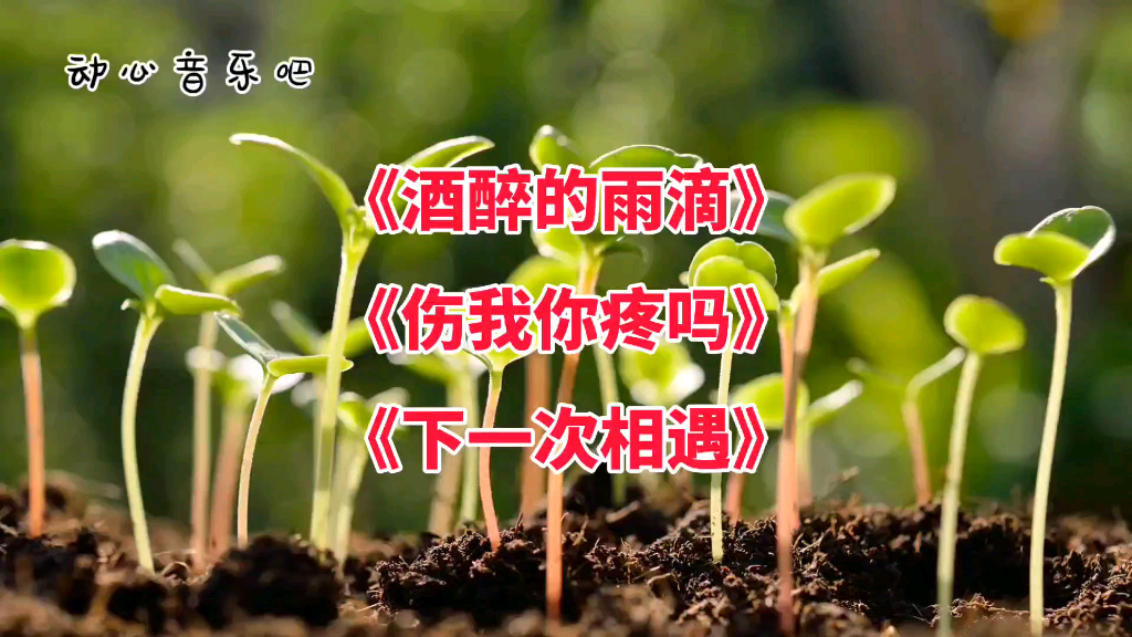 酒醉的蝴蝶伤我你疼吗下一次相遇