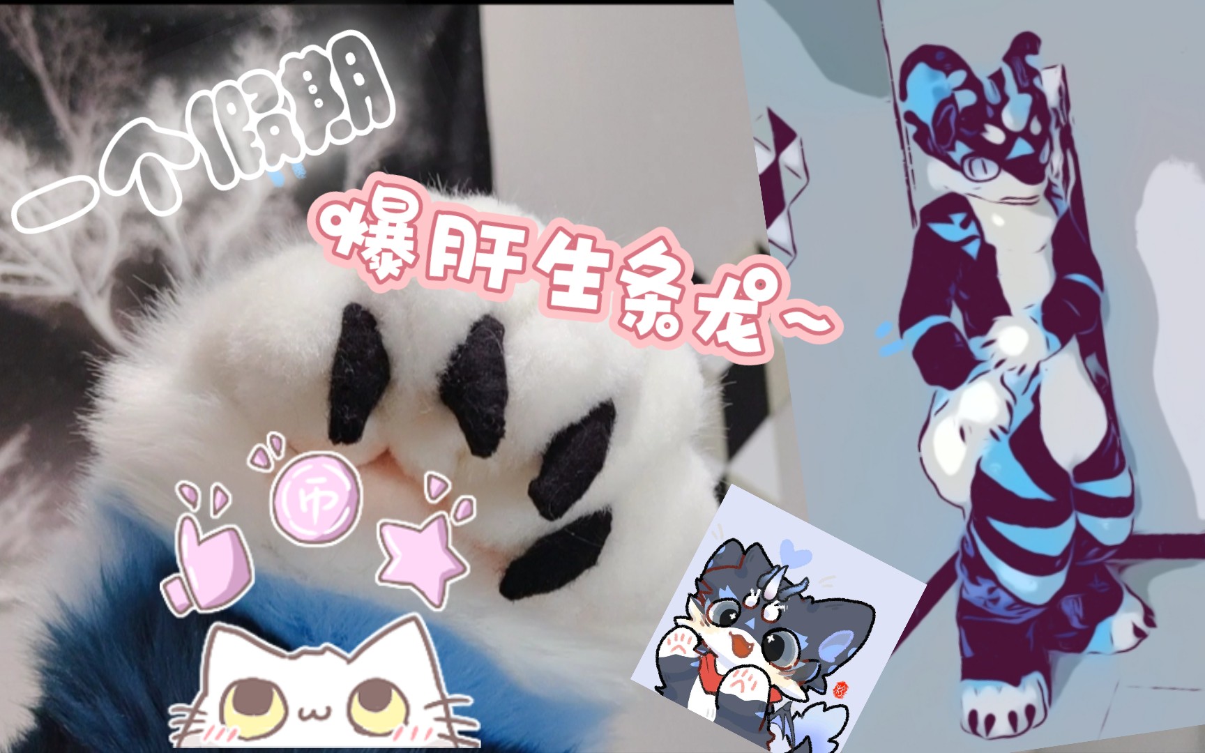 【兽装】【fursuit】第一次做装,爆肝一个假期,终于完成了~_哔哩哔哩_bilibili