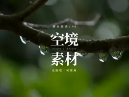 Download Video: 【免版权空镜】雨滴雨水下雨水滴视频素材