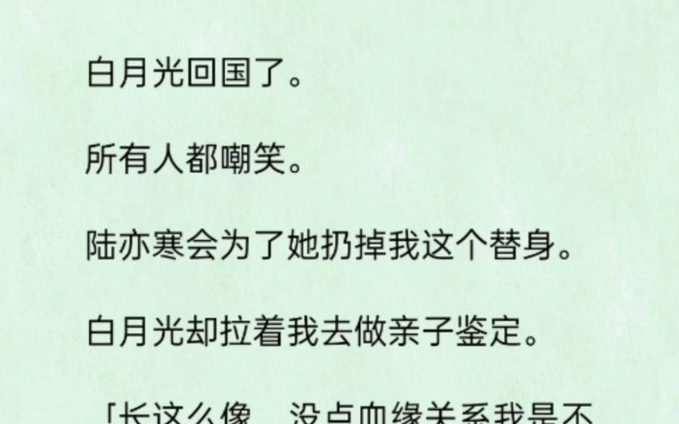 《炽夏鉴定》白月光回国了,第一件事却是拉着我去做亲子鉴定"长这么像,没点血缘关系我是不信的."结果……哔哩哔哩bilibili