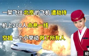 Download Video: 08年南航6901号航班事件，歹徒精心策划的劫机，竟被空姐轻松破解