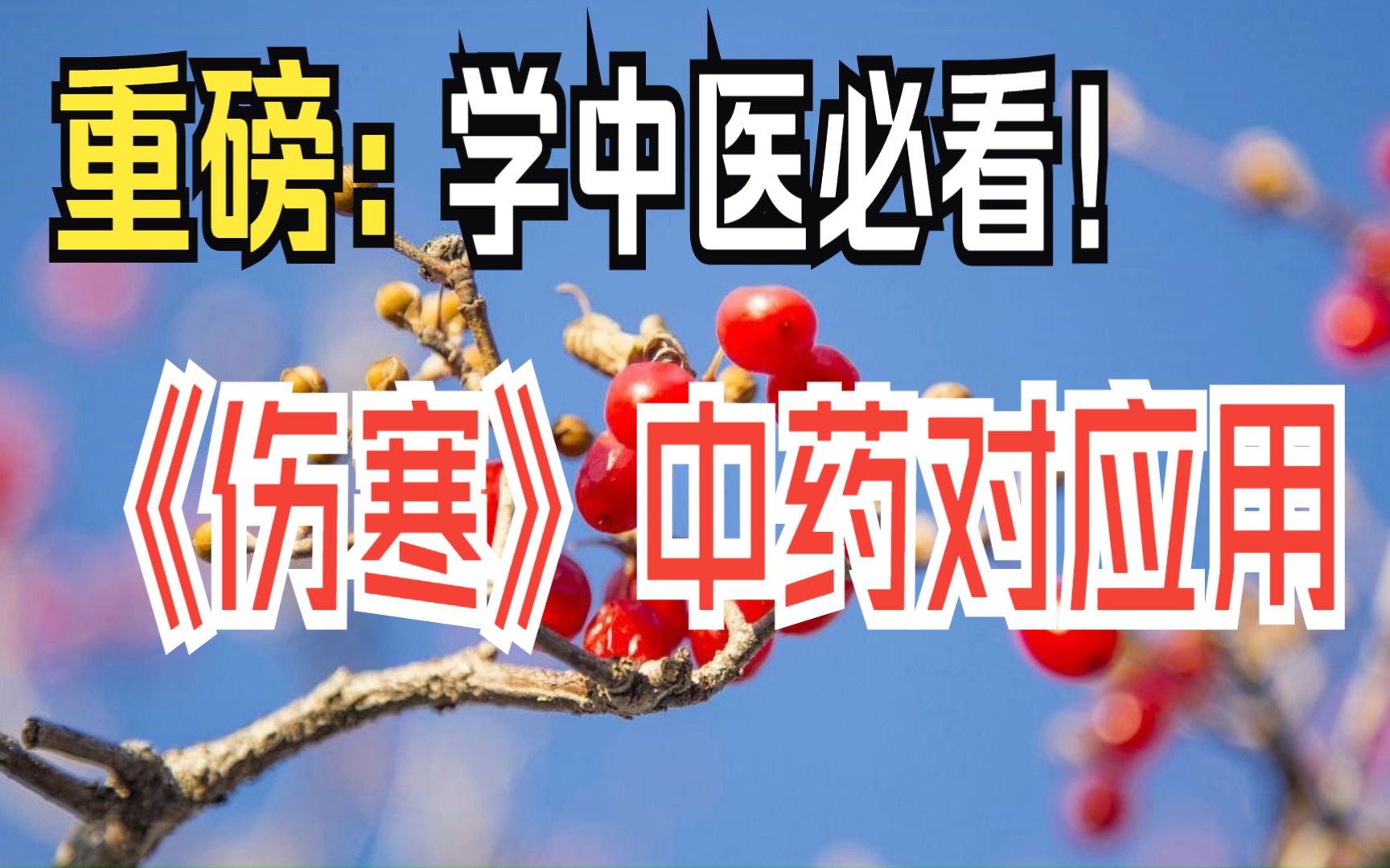 重磅:《伤寒》中药对应用,学中医必看!哔哩哔哩bilibili