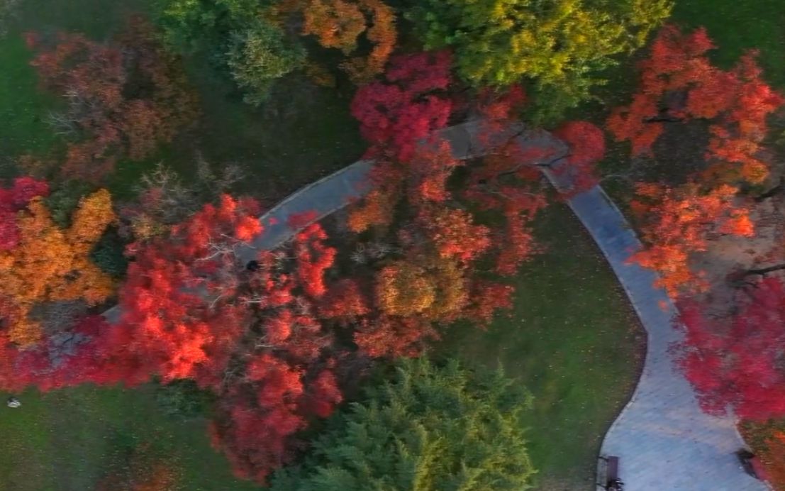 [图]山东青州：加快海绵城市建设 推进城市能级提升