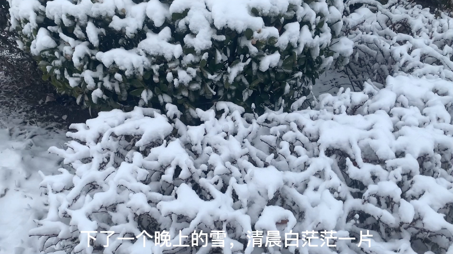 三月初见雪人潮汹涌感谢遇见你