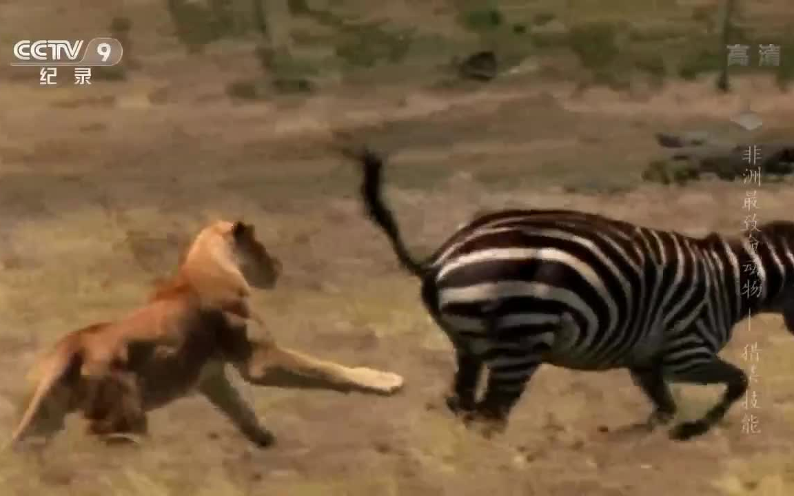 cctv9纪录片大全