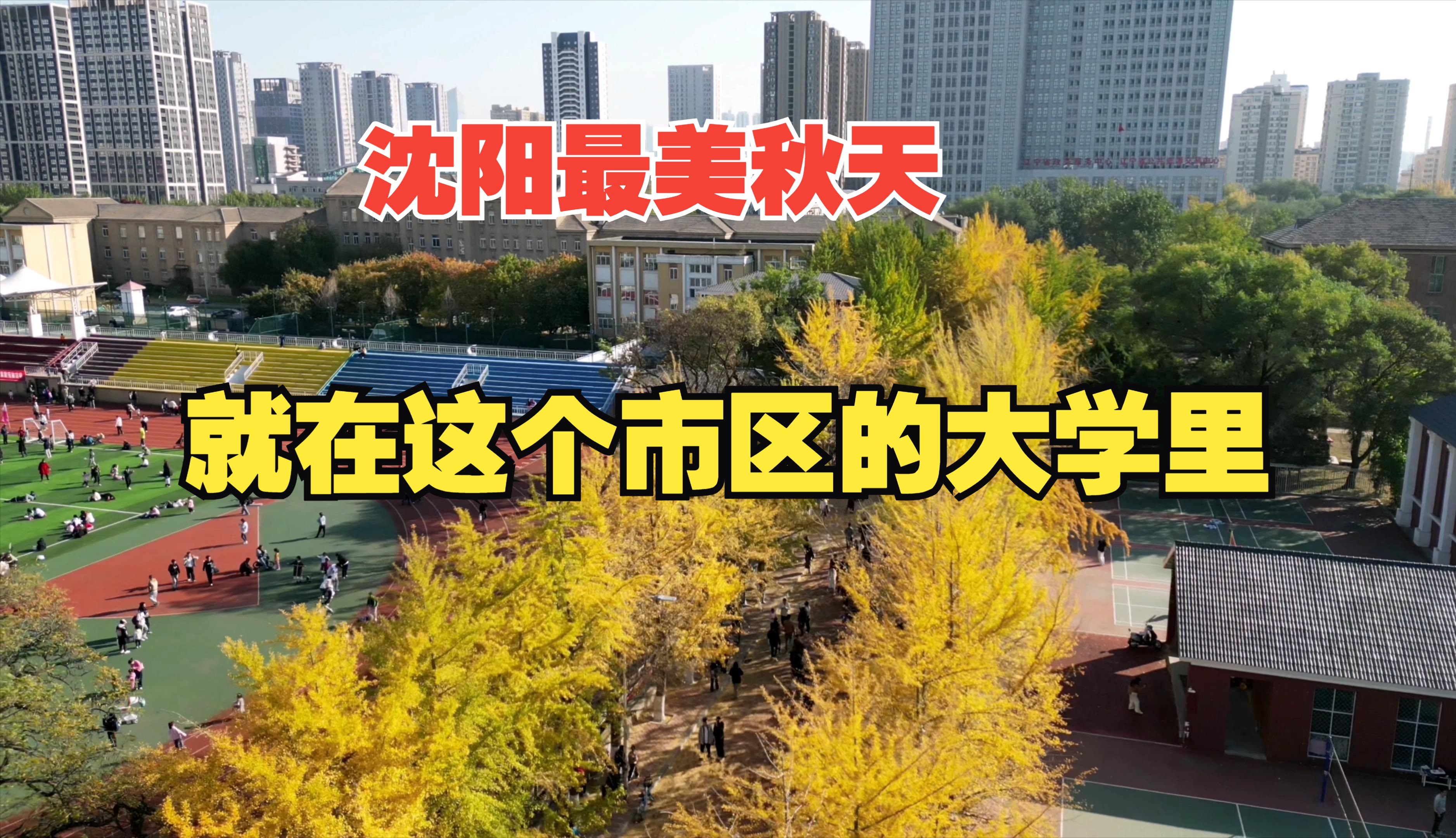 沈阳最美的秋,就在市区这所大学,地铁直达哔哩哔哩bilibili