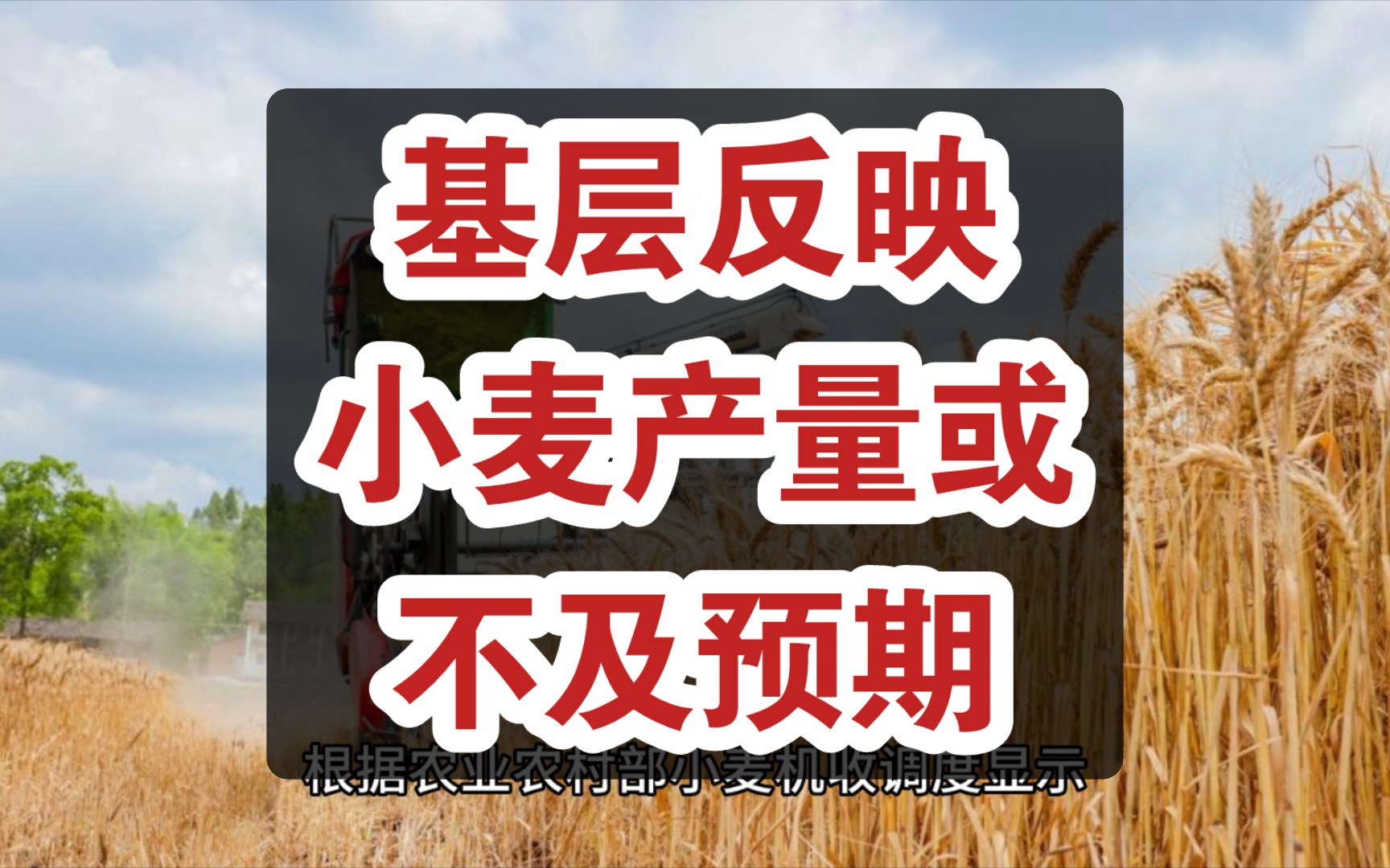 小麦收获基本结束价格上涨却才刚开始,基层反映产量或不及预期哔哩哔哩bilibili