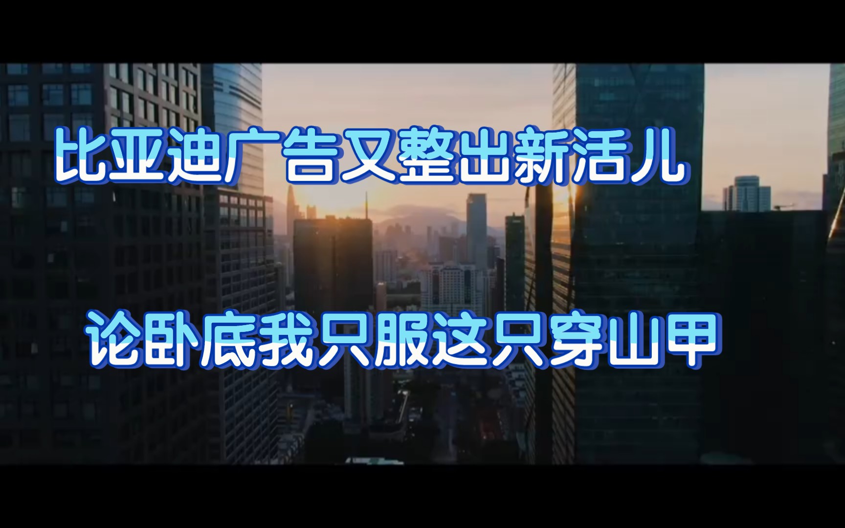 比亚迪耳朵聋了吗?听不见内鬼塞的私货更听不见老车主要求升级的声音.哔哩哔哩bilibili