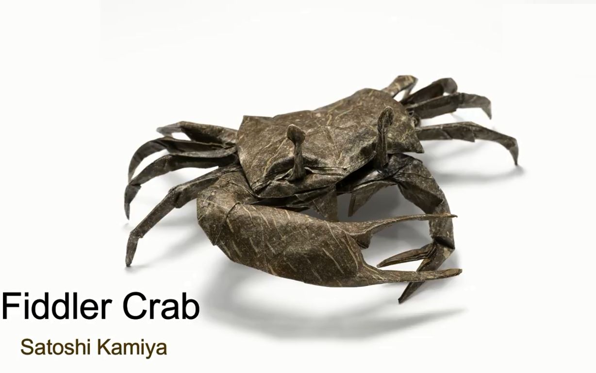 【油管搬运】【折纸origami】招潮蟹·fiddler crab by satoshi