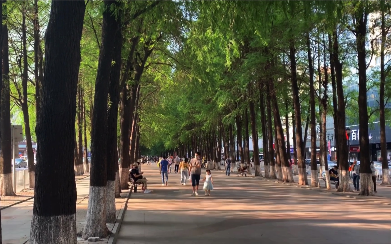 五一放假一个人出来玩,东莞长安长青路南路,这里不错