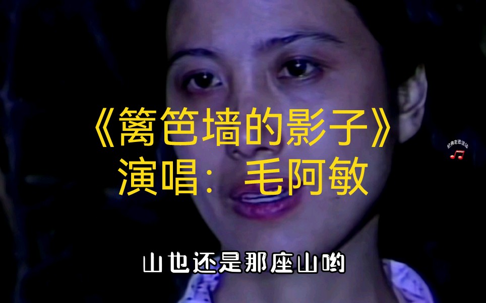 毛阿敏篱笆墙的影子还记得1989年首映的这个电视剧吗记忆中的歌声很