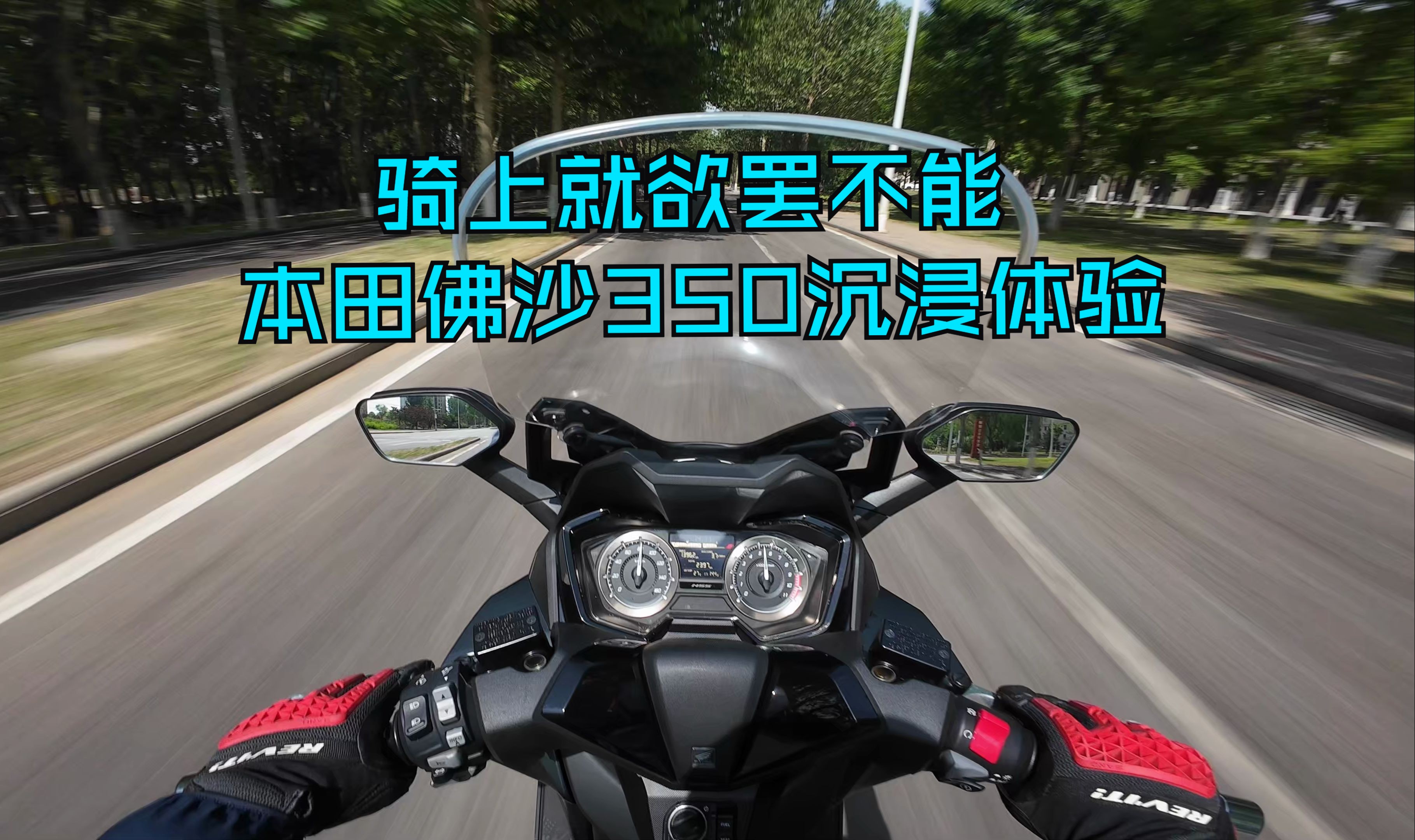 【drivevision