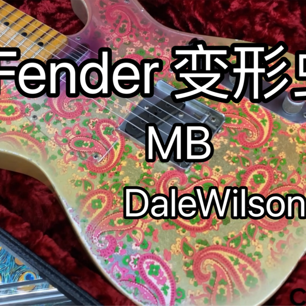 Chaos乐器屋东京手选】fender变形虫pink paisley Telecaster MB