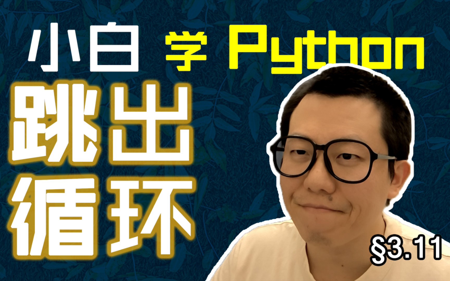 第3.11回 break跳出循环,continue直通下轮【零基础自学Python编程入门教程】#人人都能学Python #Python #编程哔哩哔哩bilibili