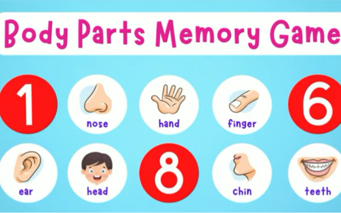 body parts memory game 身体部位记忆游戏哔哩哔哩bilibili