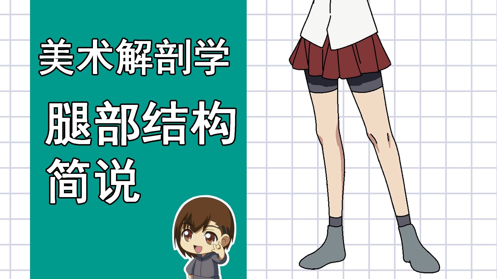 美术解剖学-61-腿部结构简说