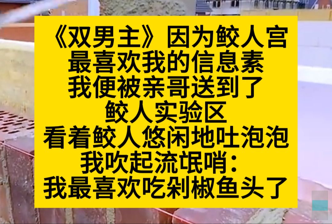 双男主 鲛人正开心地吐泡泡,我上去就吹起流氓哨:我最喜欢吃剁椒鱼头了哟~小说推荐哔哩哔哩bilibili